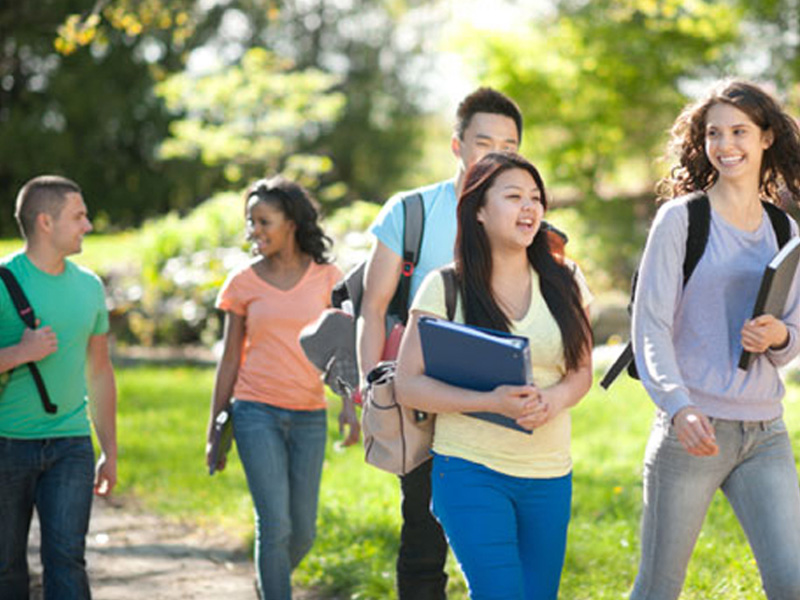 ddos攻击在哪能买到